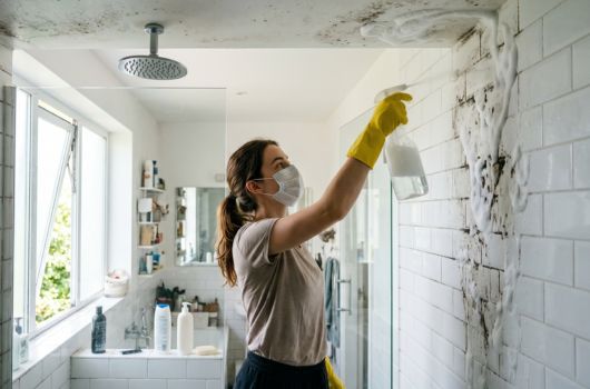 cómo quitar el moho del baño